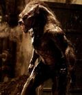 Raze in his Lycan form