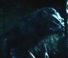 A Lycan in Underworld: Rise of the Lycans.