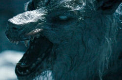 Underworld - Evolution (2006).mp4 snapshot 01.27.36 -2017.05.08 15.42.48-.jpg