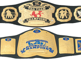 Tag Team Championship