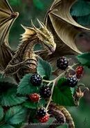 A dragonet eating blackberries.