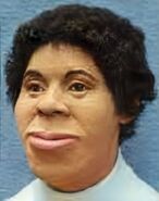 Cook County Jane Doe, 1993 HOMICIDE