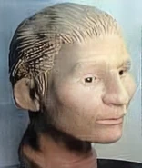 Shelby County John Doe, 2002