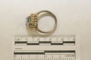 Rutherford County Jane Doe Jewelry 3