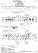 Indio Jane Doe, 1977 HOMICIDE