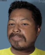 "Francisco Domingo", 2020