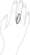 Sketch of ring