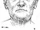 Gila Bend John Doe (July 1985)