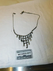 Shelby County Jane Doe, 2022