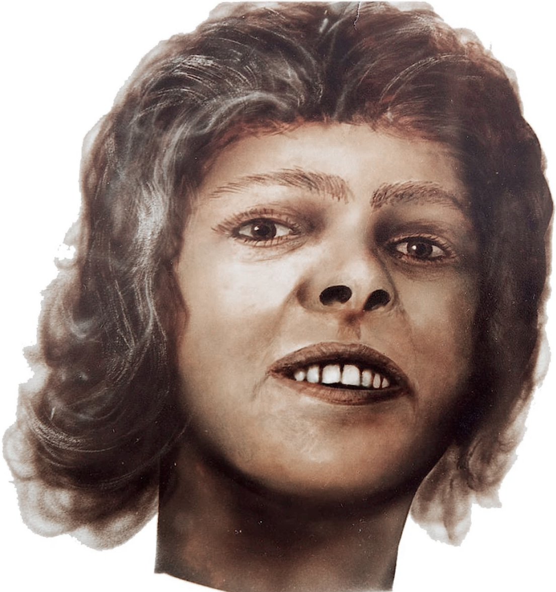 John Doe and Jane Doe, Wiki