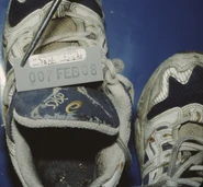 UP139321 4.jpg (960 KB)