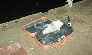 Amsterdam John Doe (November 1994) Suitcases