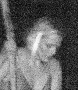 Close up of trail cam footage