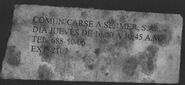 Ajo Jane Doe, 2003