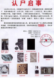 Baisha 2006 John Doe poster