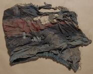 00011 Hood L.jpg (62 KB)