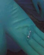 Isleton2008 jewelry.jpg (64 KB)