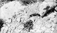 Photograph of the scene - the gun is visible in the center.