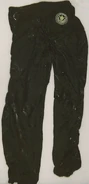 98 Nashville JD pants.jpg (55 KB) Pants