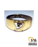 Enhanced image of the ring