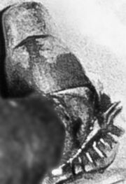 Burlington County Jane Doe (1974) Shoes
