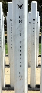 PatrickChessMarbleStandard