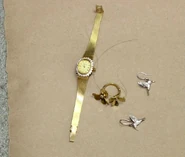 PortlandJaneDoe3.png (388 KB) Jewellry