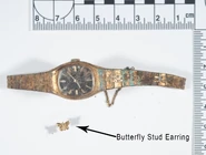 77UFTX4 LARGE.jpg (376 KB) Watch and earring