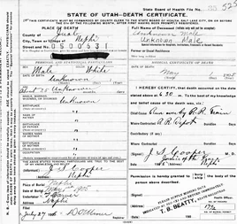 Juab County John Doe (1905) Death Certificate