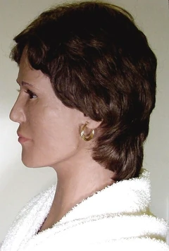 Profile
