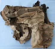 UP62272 Shorts.jpg (613 KB) Shorts