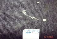 UID hisp male 3 - Copy (3).jpg (379 KB)