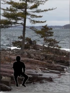 Chittenden County John Doe, 2011