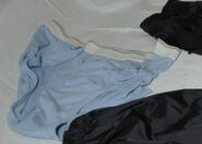 Blue Underwear , Brand Walson