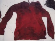 Socorro County Jane Doe, 1986