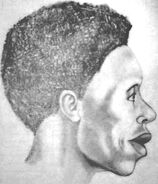 957UFNC1 LARGE.jpg (84 KB)