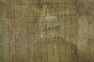 Lukeville John Doe, 2009