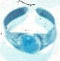 Original image of ring