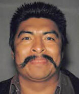 "Jose Gonzalez," 2000 ACCIDENT