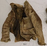 Nashville John Doe, 2017