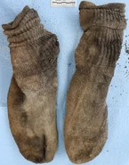 UP62272 Socks.jpg (698 KB) Socks