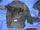 Cook County John Doe (February 2024)