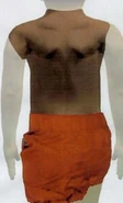 AdamUK back.png (201 KB) Reconstruction depicting the shorts and recovered remains from behind.