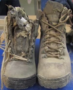 Grand County John Doe, 2014