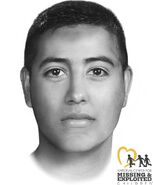 Sahuarita John Doe, 2012