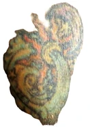 Crittenden County John Doe, 2020