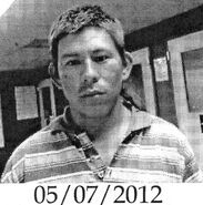 CBP Apprehensions