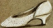 Reconstruction of shoe