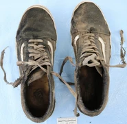 UP62272 Shoes.jpg (397 KB) Shoes