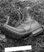 Sandoval County Doe, 1981